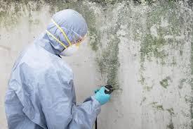 Orland Hills, IL Mold Removal Company